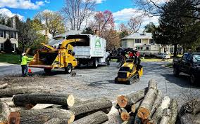 Seasonal Cleanup (Spring/Fall) in Cheney, KS