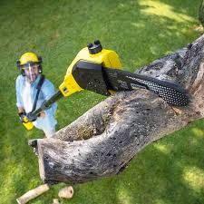 Lawn Irrigation Installation and Maintenance in Cheney, KS